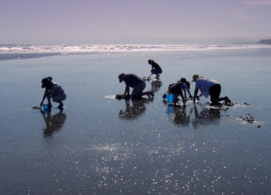 clam-fishing