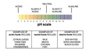 study-guide-ch1