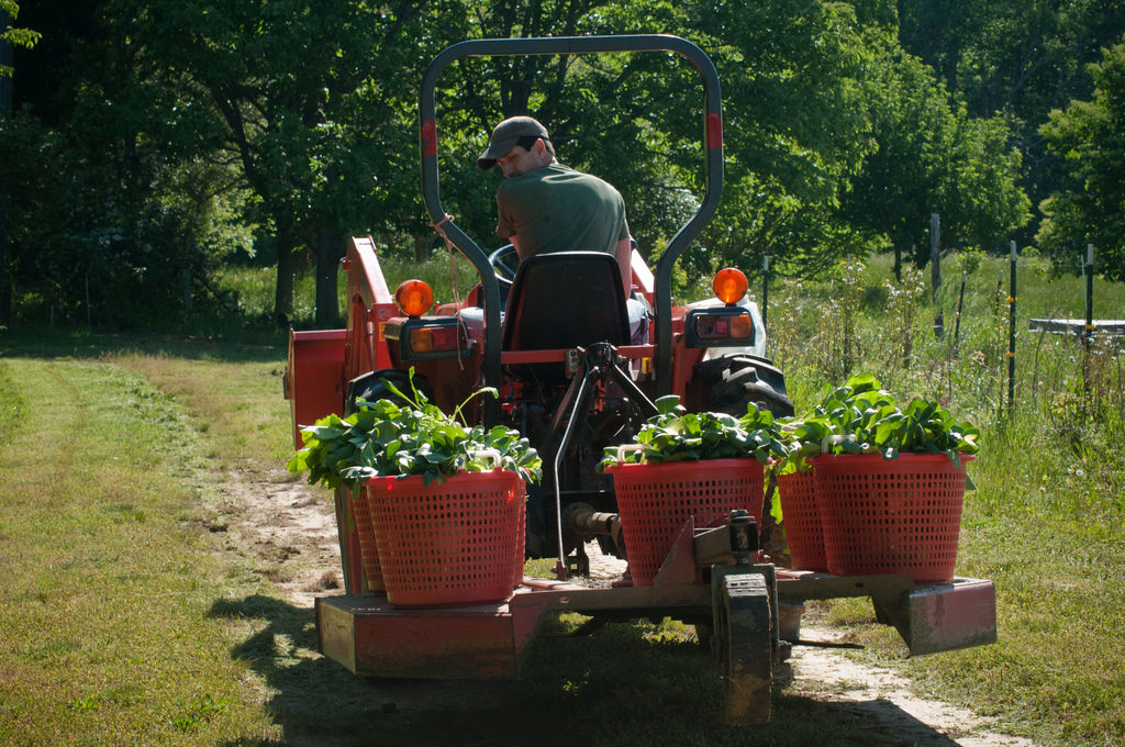 Farmer on Tractor